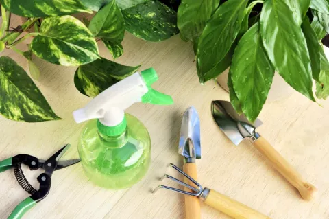 Lawn and garden supplies available at HG Lumber
